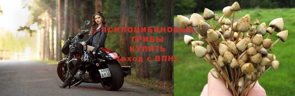 метадон Бородино
