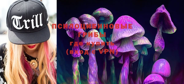 бошки Бронницы
