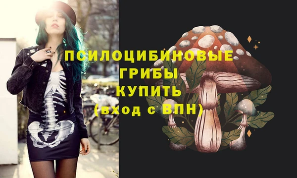 метадон Бородино