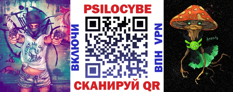 Псилоцибиновые грибы мицелий  купить наркотик  Чехов 